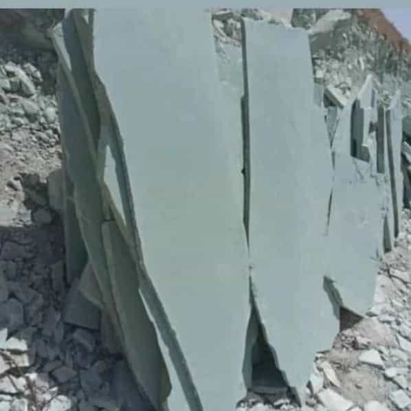1708325924439.webp